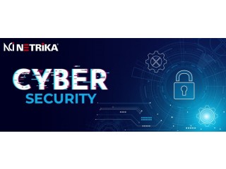 Cyber security Audit companies in India - Netrika Consulting