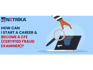 Certified Fraud Examiner certification - Netrika Consulting