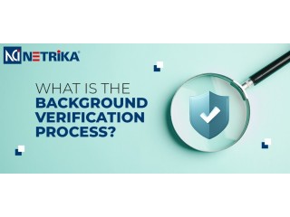 Background checking services -Netrika Consulting